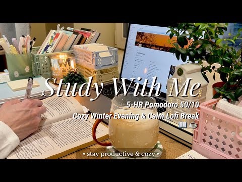 5-HR STUDY WITH ME ☃️ winter cosiness, fireplace evening [Pomodoro 50/10] no talking