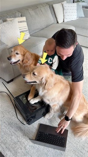 Took son's print out with both the dogs 🐕🥹 | Wow 😮