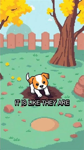 Rat terriers love digging 🕳️ #ratterrier #facts #dogs