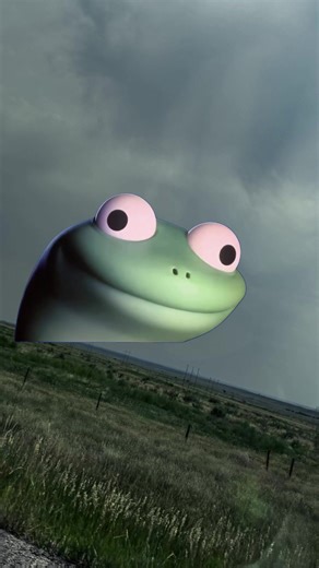 #Meme #MemeCut li #lizerd #lizard