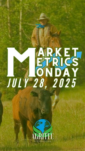 Cattle farmers, keep wrangling in those good numbers! It feels like it's been getting hotter and hotter, but those cows are standing strong. check in every Monday for updates on corn, wheat, cattle and beans! Visit www.agritecint.com or call 833-247-4832 to learn more! #farming #cattle #cows #crops #fertilizer #farmer | AgriTec International Inc. | Facebook