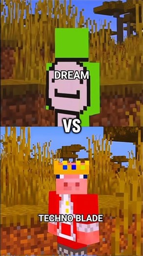 Dream vs Techno blade !! Real Minecraft GOAT 🐐