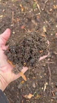 Raised Garden Beds | Amending the Soil | GEARING UP FOR SPRING