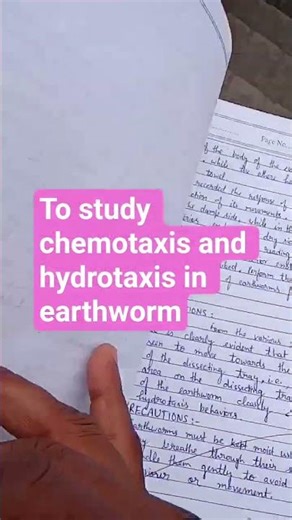 14.To study chemotaxis and hydrotaxis in earthworm