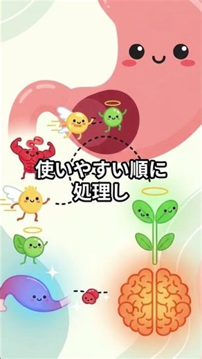 人間の体ってマジでヤバい…知らない働き4選 #shorts