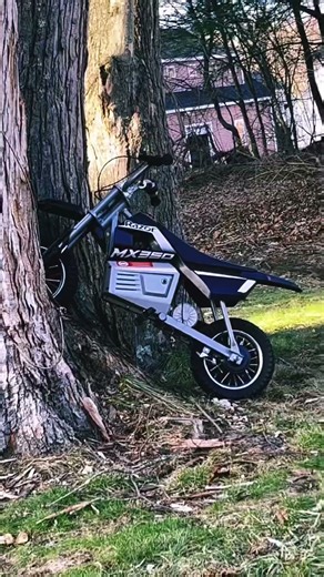 The razor in da tree