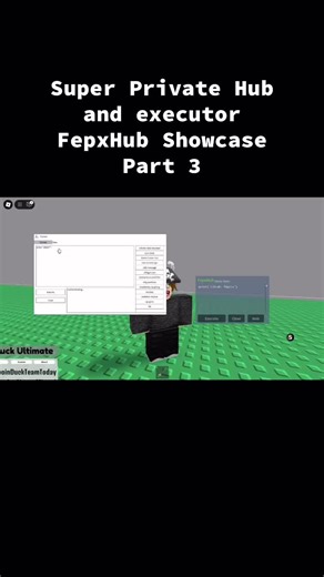 Super Private Hub and executor FepxHub Showcase Part 3
