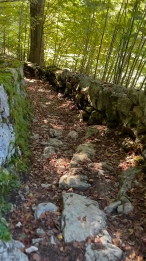 Giampaolo Padovan on Reels