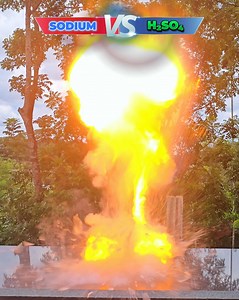 Sulfuric Acid VS Sodium Metal #trickstogo #science #experiment | Tricks To Go