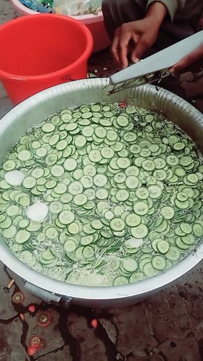 Cucumber Cooking Process in a Large Metal Pot