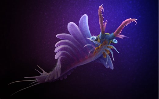 双肢抱怪虫Amplectobelua symbrachiata（旧复原）