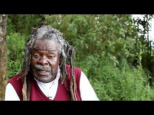 Mt Rungwe Nature Forest Reserve (short film 2019)