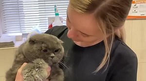Cat survives 30 minute spin in washing machine