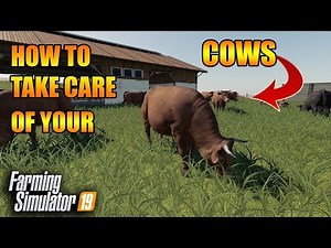 How to Cows... A Guide to 100% Productivity | How to FS19 | Tutorial | Farming Simulator 19