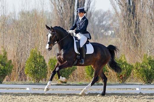 How to Dress for Your 1st Dressage Schooling Show - Horse Rookie