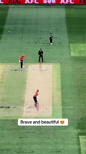 Finn Allen's Impressive Sixes in BBL