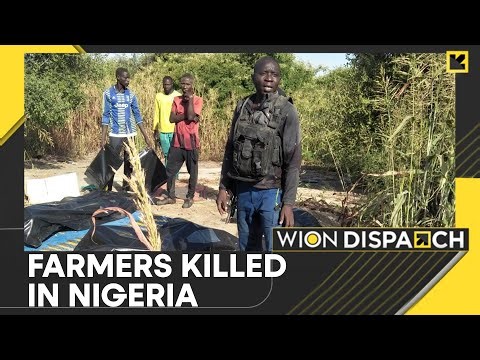 Nigeria: 40 Farmers Killed By Boko Haram Militants In Northeast Nigeria | WION Dispatch