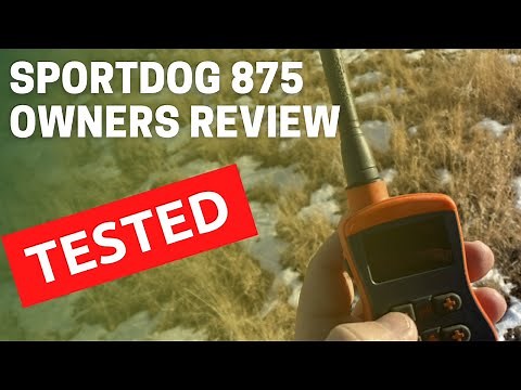 SportDog 875 // The best e collar for dogs