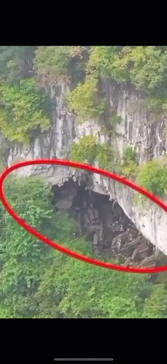 Exploring Aerial Views of a Cliffside Forest