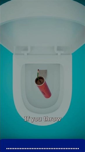 We Tried to Blow Up a Toilet... Don't Try This! ⚠️ (Safety Lesson)