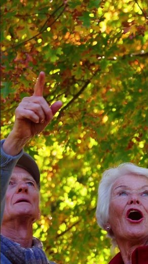 Cruise New England in Fall with American Cruise Lines