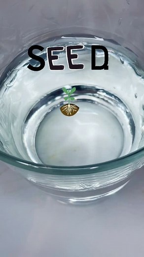 growithjessie on TikTok