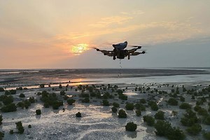 Drones are helping plant 100 million mangrove trees in the UAE by 2030