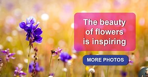 Nature's masterpieces – take a look at these 10 incredibly beautiful flowers