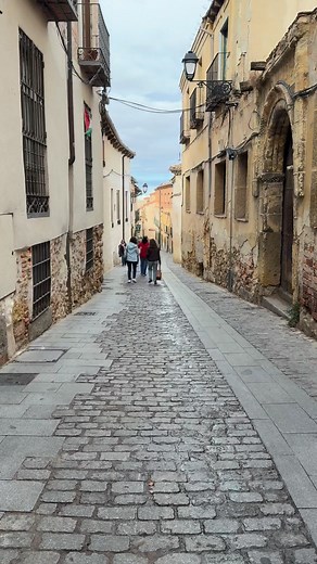 🌾 Segovia’s timeless charm 🌾 Golden fields, ancient churches, and peaceful hilltop views — Segovia feels like stepping into a storybook. A perfect blend of history, quiet beauty, and unforgettable scenery. 🍂✨ #MichaelTravels #MyTravelBlogs #SegoviaSpain #VisitSegovia #SpainTravel #ScenicViews #HistoricSpain #WanderThrive | Michael Rapadas Rementillo