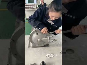 Repair diaphragm pump