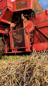 74K views · 848 reactions |  Notre moisson 2025, vue du ciel. Comme vous le savez, blé 100% bio et paysan, qui sera bientôt transformé en farine. | Les récoltes de Fred | Facebook