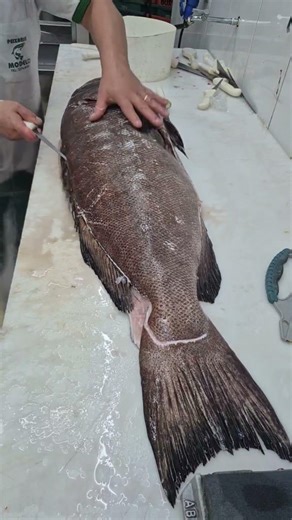 #shorts #viral #peixe #cortedepeixe #badejo #pesca #pescaria #bigfish #peixegrande #youtubeshorts