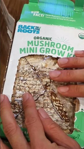 Oyster Mushroom Grow Kit Timelapse #asmr #backtotheroots #growonegiveone #mushroom