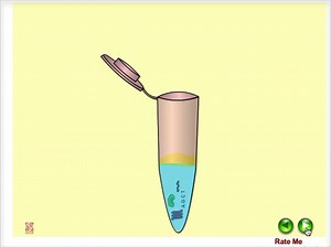 Polymerase Chain Reaction