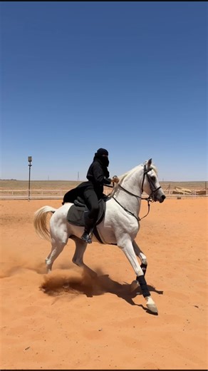 بقايا صيد الذيابه ماياكله غير الكلاب