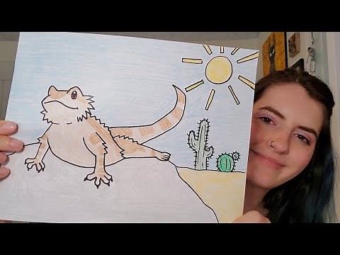 Let's Draw: Bearded Dragons!
