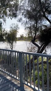 115K views · 468 reactions | FREE CAMP ALERT Red Cliffs Golf Club, VIC is near Mildura and has free camping, is pet friendly, and for self contained vehicles. Plus it is close to the Murray! #visitvictoria #redcliffs #mildura #redcliffsgolfclub #golfcamping #vanlife #travelaustralia #camps #camping #campsaustraliawide | Camps Australia Wide | Facebook