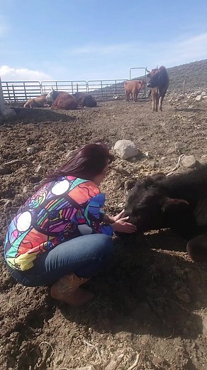 44K views · 495 reactions | With Star at Sage Mountain Animal Rescue | Teal Swan | Facebook