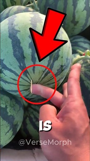 Superhumans in real life😎