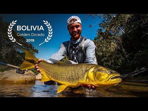 Golden Dorado Fly Fishing Adventure Bolivia - CatchMe (Full Movie)