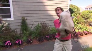 Two-faced kitty claims Guinness record