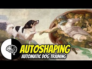 Autoshaping: Train your dog automatically!
