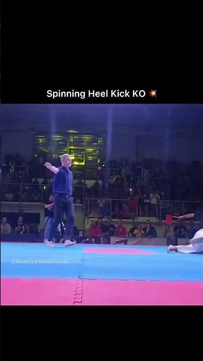Did you see that?! 💥 One spinning heel kick and it’s LIGHTS OUT!