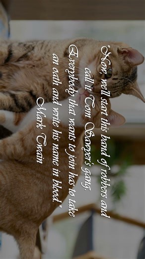 478-CM-S12-EP10-P1-N478