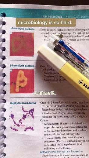 SketchyMicro: The Ultimate Microbiology Resource 🦠