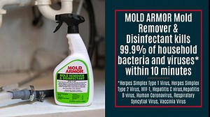 MOLD ARMOR FG550 Mold Remover/Disinfectant, 1 Gallon