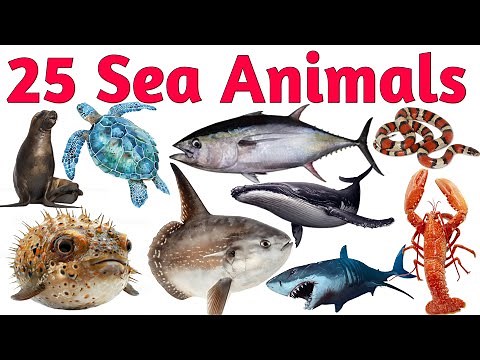 🐠 Animated Sea Animals for Kids | Learn Ocean Creatures with Fun Cartoons 🌊2. 🐳 Underwater part -4