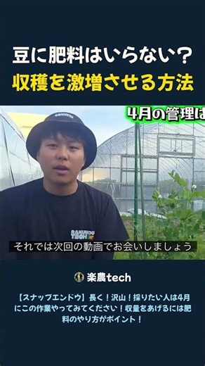 Do beans need fertilizer? How to drastically increase your harvest.