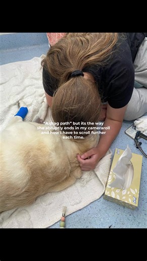 Understanding Dog Loss and Grief Journey