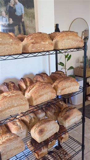 It's my favorite time of year. The rush of the holidays is behind us, we get a taste of cold weather and everything feels slower, quieter and cozy. The kids are back at school and there are stolen moments to enjoy a book & tea in the comfort of my home. The oven heats our home bakery in the most delicious of ways & stepping outside in the 30° air is a welcome wakeup in the early morning hours before the sun rises. The romantic tactile experiences of the warm crunchy bread fresh out of the stone 